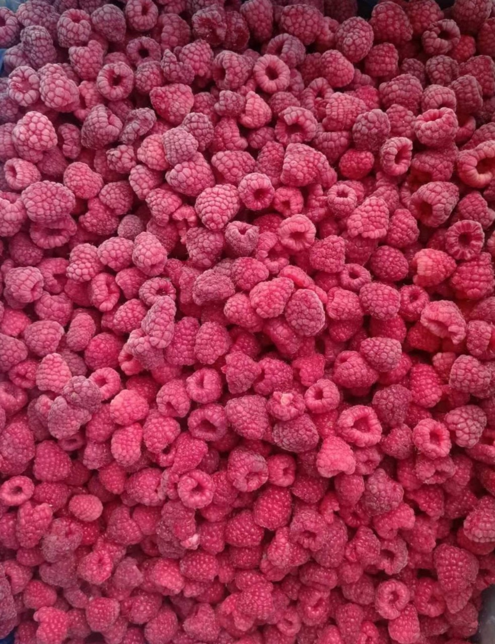 Raspberries